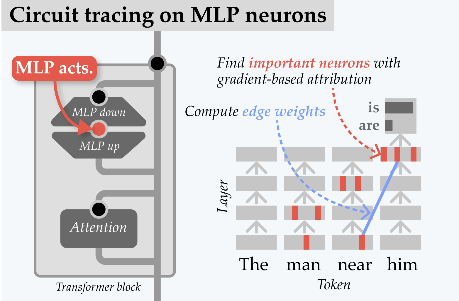 Language Model Circuits Are Sparse in the Neuron Basis